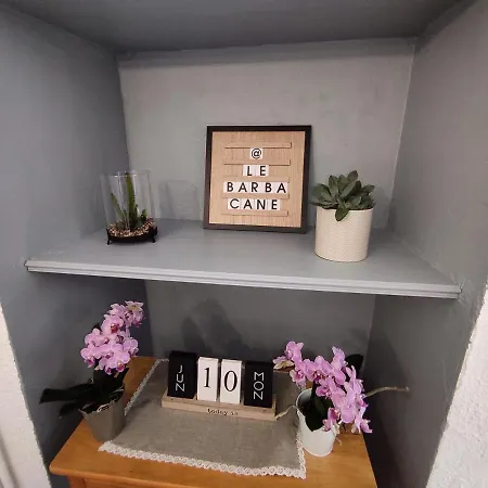 Barbacane * Carcassonne