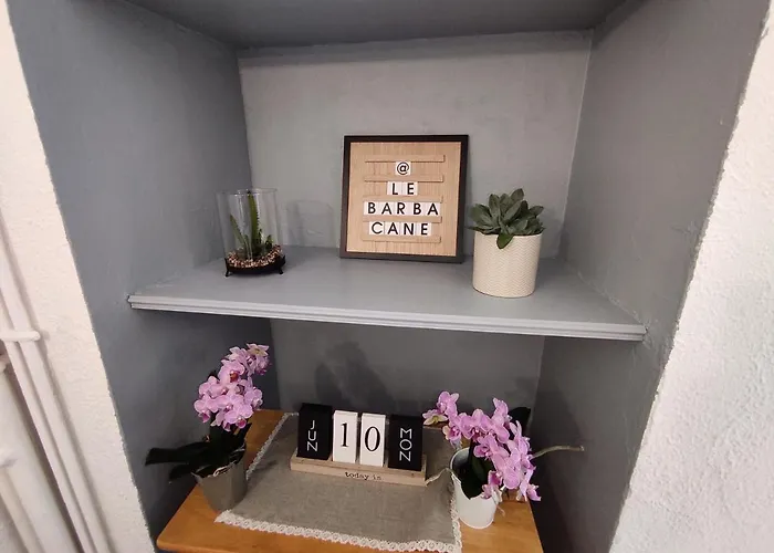 Barbacane * Carcassonne