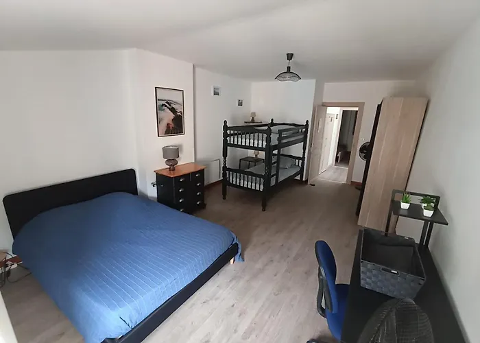 Barbacane * Carcassonne